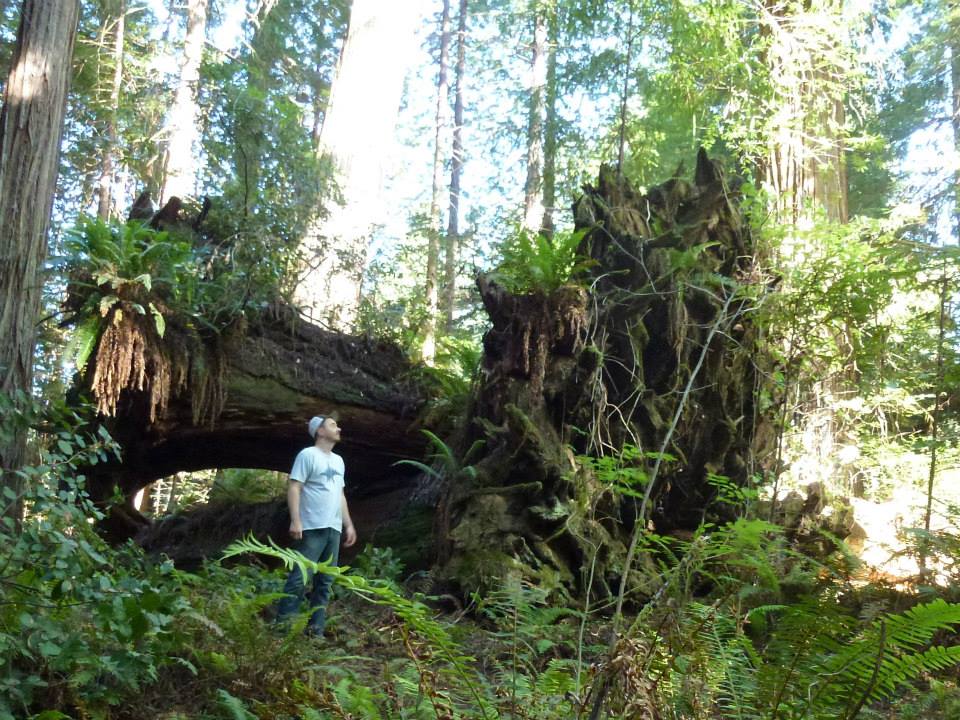 Ryan Fiscus in Humbodlt Redwoods