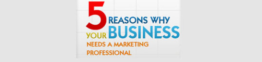 5 Reasons why your business needs a marketing professional - Chico CA