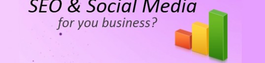 SEO, Social Media in Chico by LRT Graphics